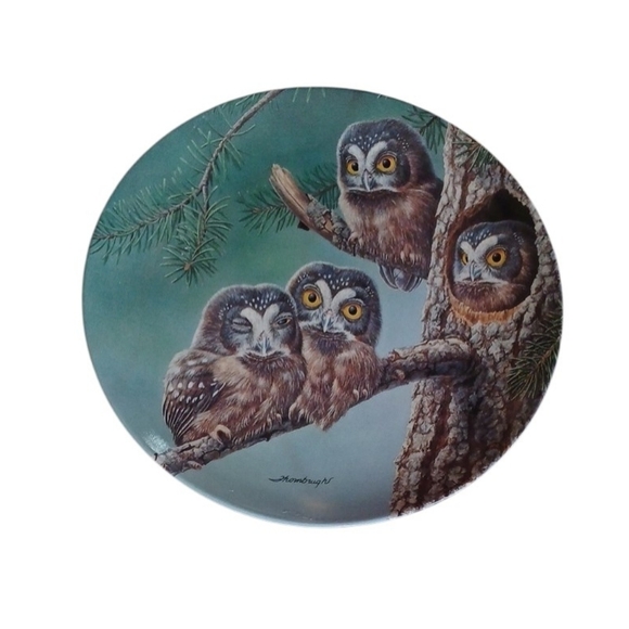 Knowles Other - "Beginning To Explore" Boreal Owls | Signed | Limited Edition